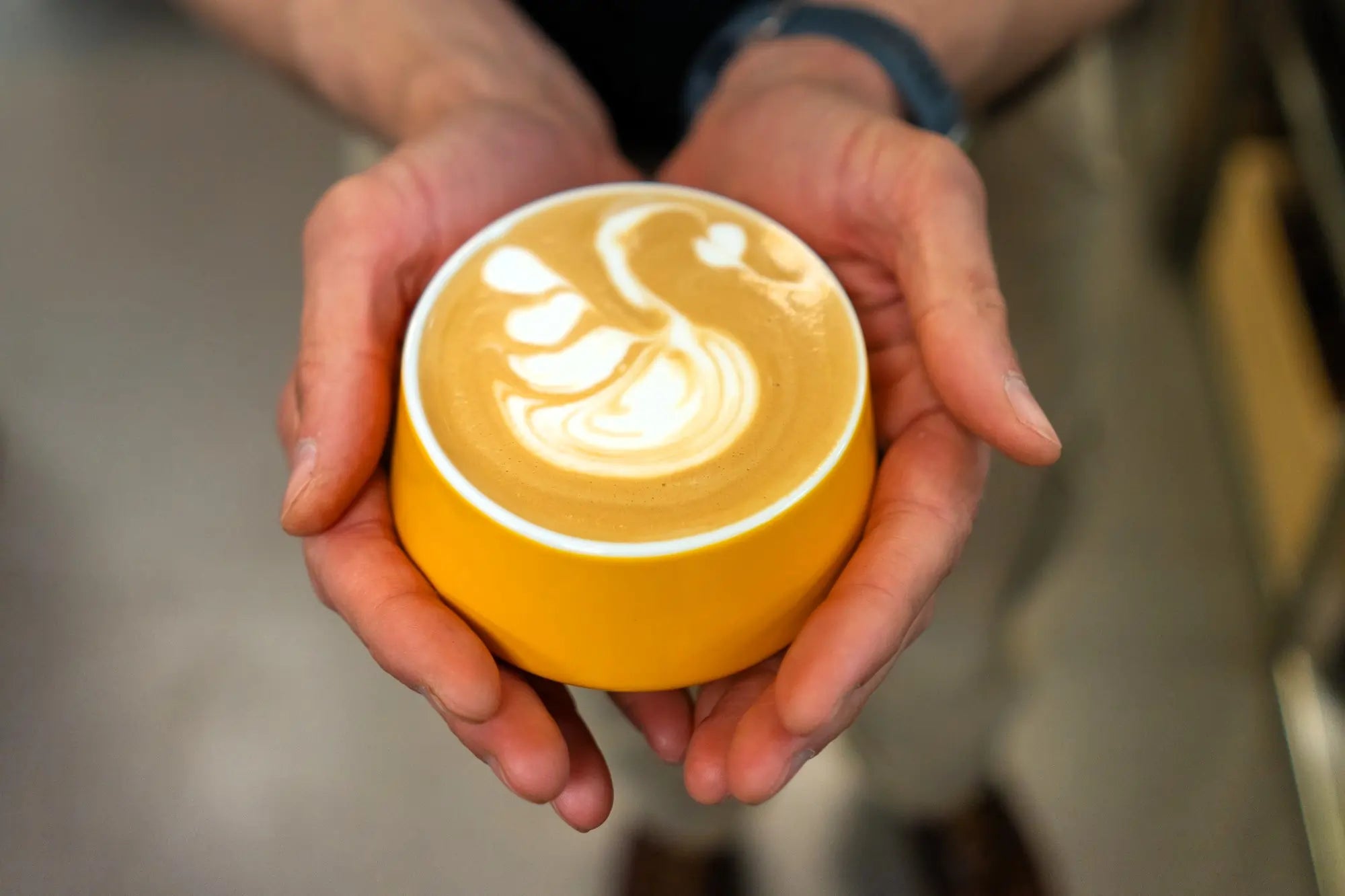 Zbliżenie na dłonie trzymające filiżankę kawy z mleczną pianką i wzorem latte art w kształcie łabędzia – czy wiesz ile kofeiny jest w kawie?