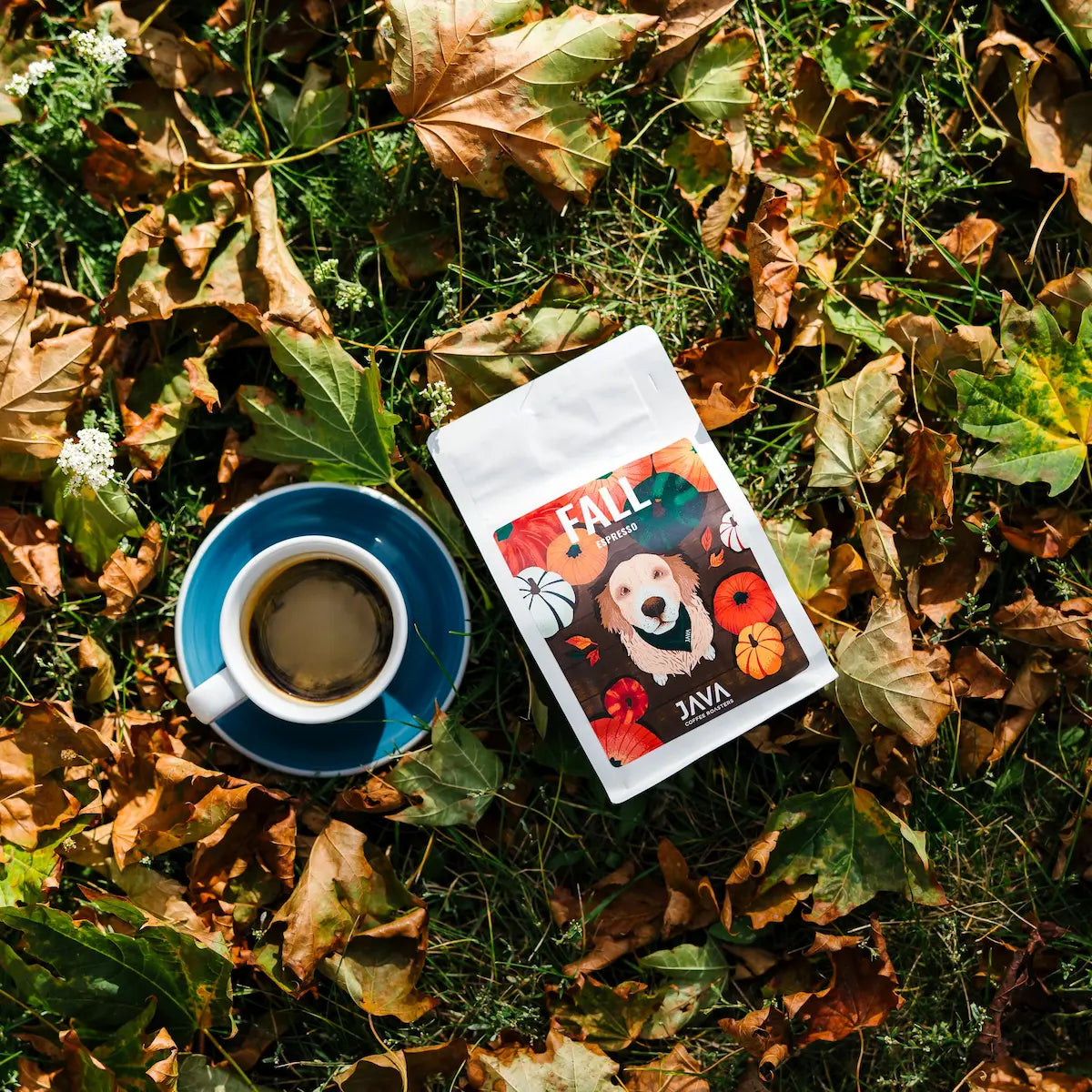Ethiopia Aricha Fall Espresso – sezonowa kawa specialty JAVA Coffee Roasters z filiżanką espresso wśród jesiennych liści.
