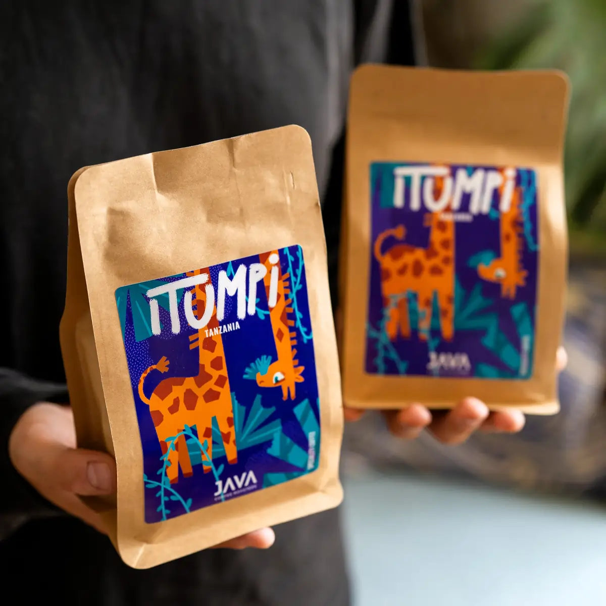 Opakowanie kawy specialty Tanzania Itumpi od Java Coffee Roasters trzymane w dłoniach na tle palarni