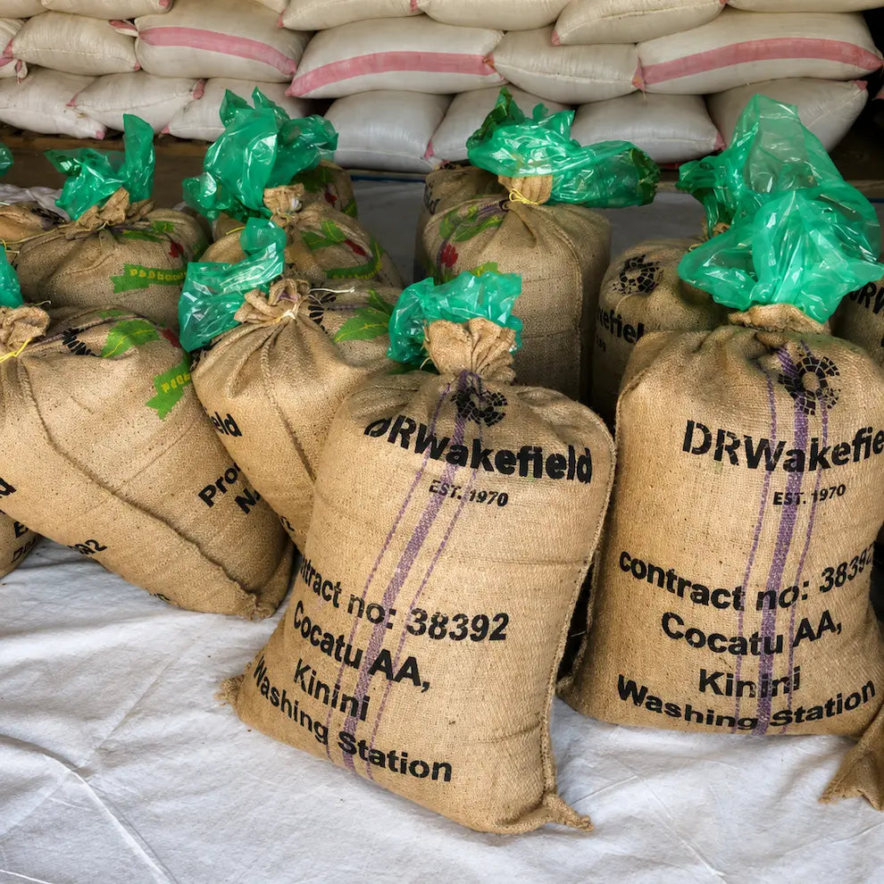Worki z zieloną kawą specialty Rwanda Cocatu przygotowane do eksportu po zakończeniu kontroli jakości. Zdjęcie przedstawia oznakowane worki z ziarnami kawy ze stacji Kinini Washing Station, gotowe do dalszej dystrybucji i palenia.