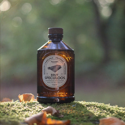 Syrop Bacanha Speculoos 400 ml – organiczny syrop o smaku korzennych ciasteczek, zdjęcie w naturze z jesiennym klimatem