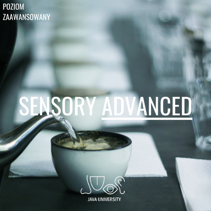 Szkolenie Indywidualne Sensory Advanced