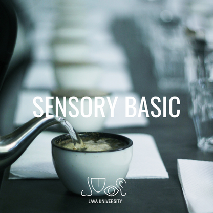 Szkolenie Indywidualne Sensory Basic